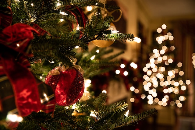 Elevate Your Christmas Decor With Hoselink Solar Lights